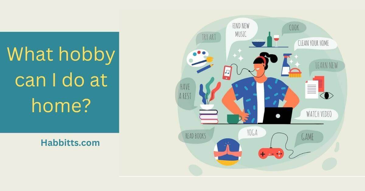 What hobby can I do at home