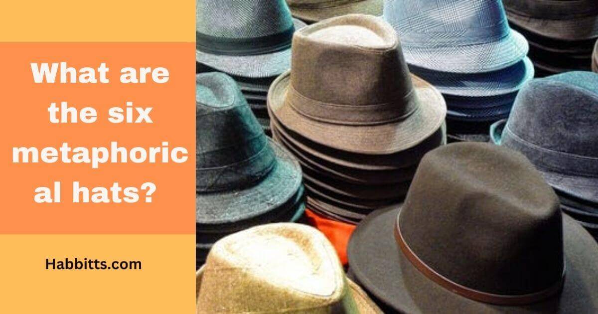 What are the six metaphorical hats