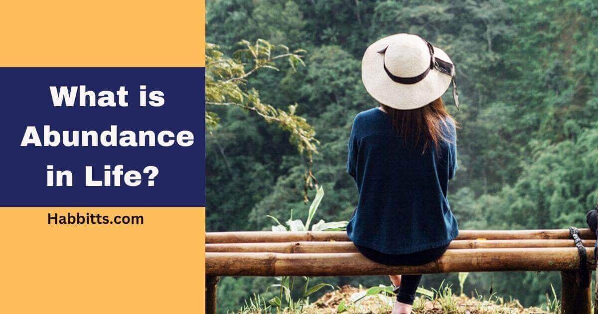 What is Abundance in Life