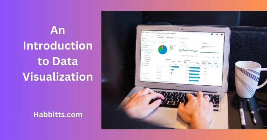 An Introduction to Data Visualization