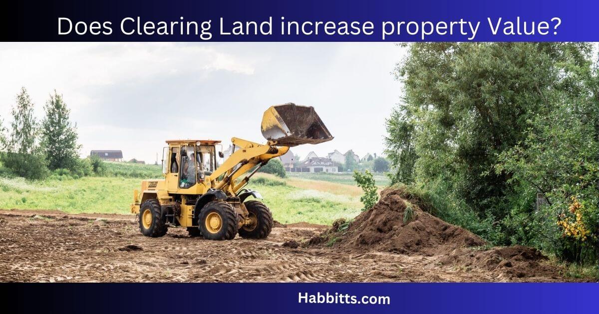Does Clearing Land increase property Value? Complete answered!